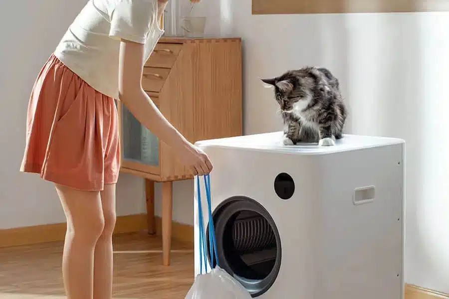 best auto kitty litter box